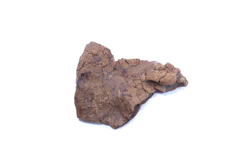 極品宝印 3.2g 
