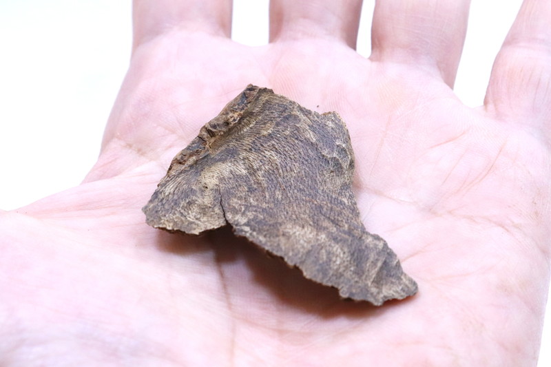 極品宝印 3.2g 