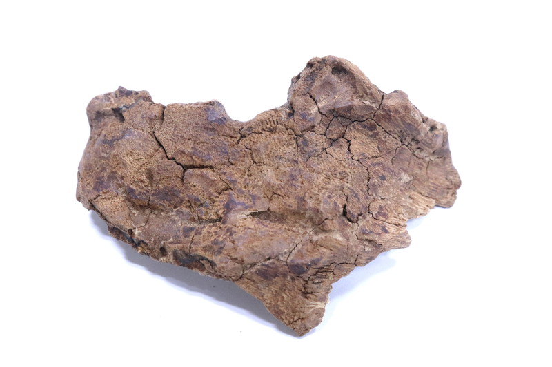 極品宝印 3.2g 