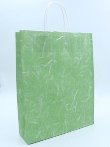 紙袋 雲竜 緑