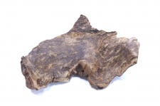 極品宝印 8.6g