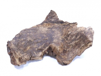 <p><span style="color: #3598db;"><strong>[NEW]</strong></span></p>
<p><strong>極品宝印入荷</strong></p>